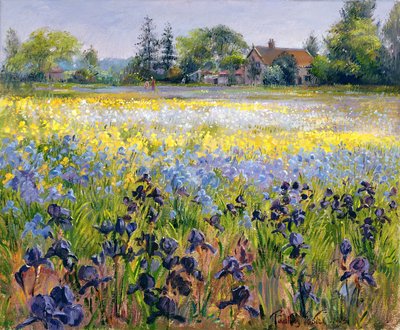 Iris e due abeti, 1993 da Timothy Easton